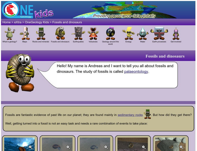 One Geology Kids: Fossils Website One Geology Kids: Fossils Website