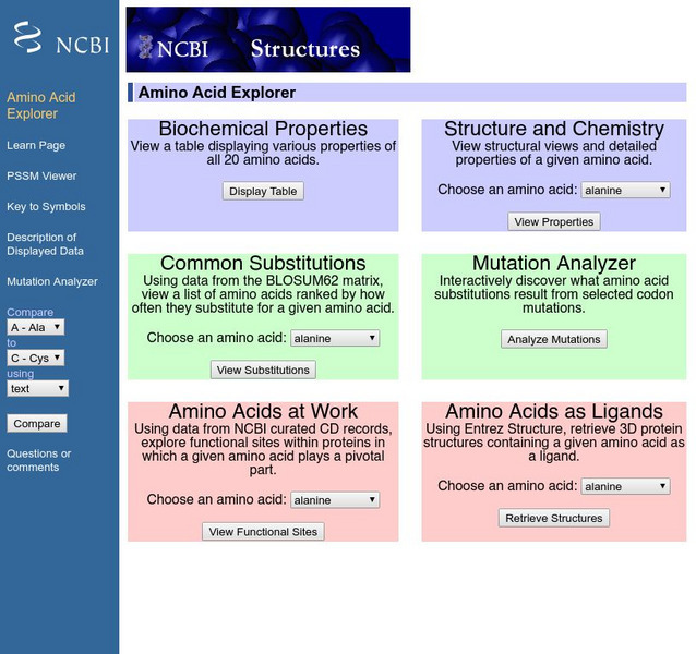 National Center for Biotechnology Information: Amino Acid Explorer Handout National Center for Biotechnology Information: Amino Acid Explorer Handout