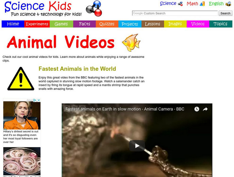 Science Kids: Animal Videos: Fastest Animals in the World Instructional Video