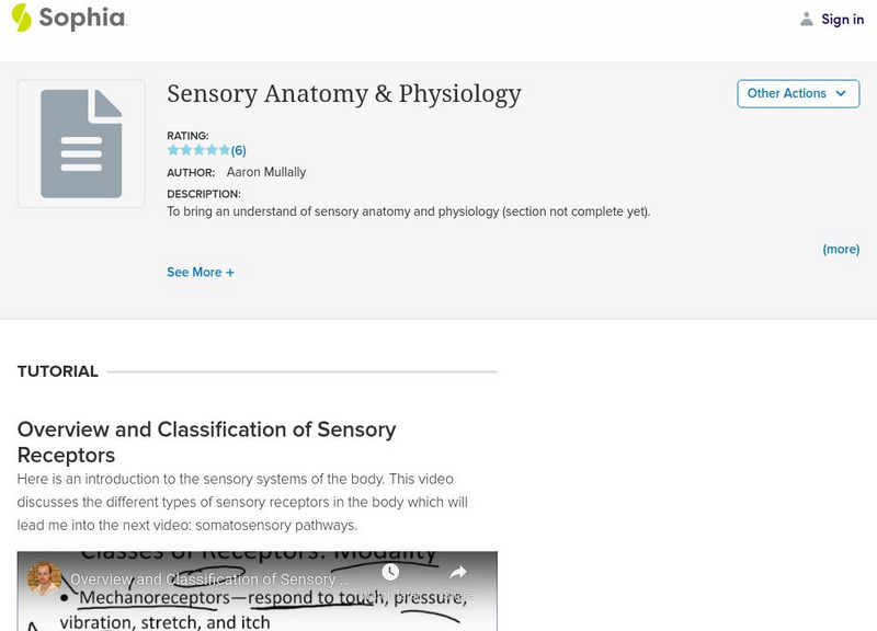 Sophia: Sensory Anatomy & Physiology Instructional Video