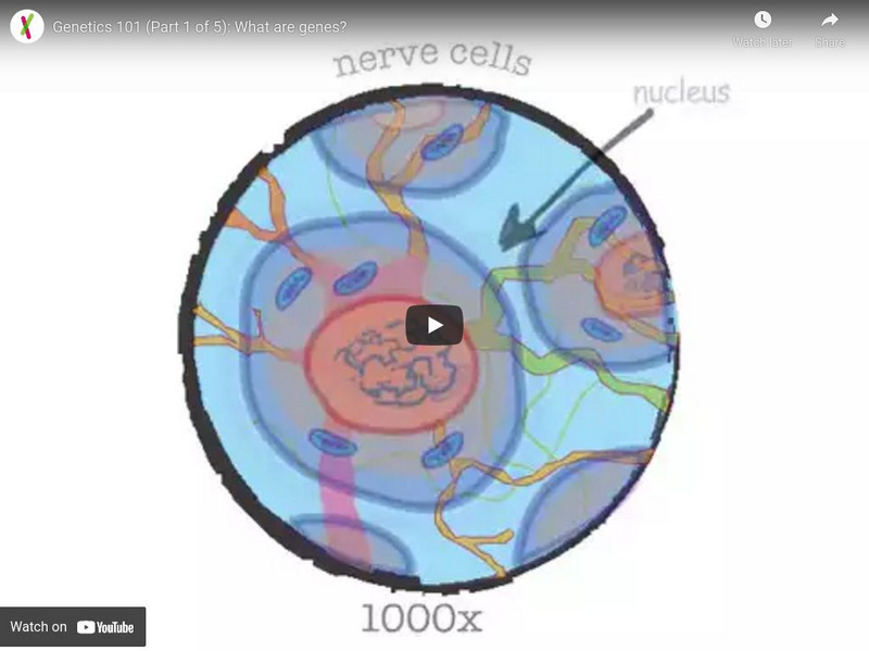 Khan Academy: Heredity and Genetics: Genetics 101 Part 1: What Are Genes? Instructional Video Khan Academy: Heredity and Genetics: Genetics 101 Part 1: What Are Genes? Instructional Video