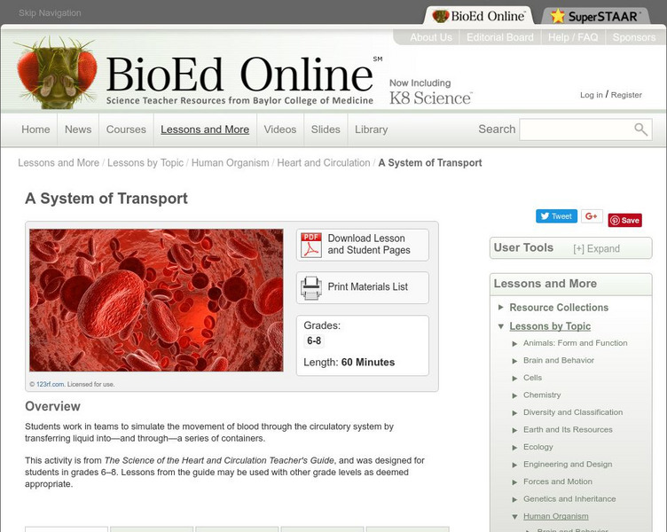 Bio Ed Online: A System of Transport Lesson Plan Bio Ed Online: A System of Transport Lesson Plan