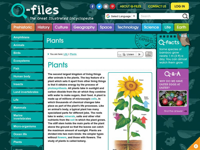 Q Files: Life: Plants Handout Q Files: Life: Plants Handout