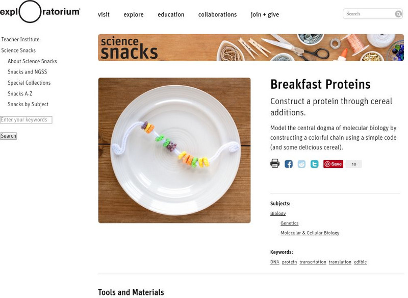 Exploratorium: Science Snacks: Breakfast Proteins Activity Exploratorium: Science Snacks: Breakfast Proteins Activity