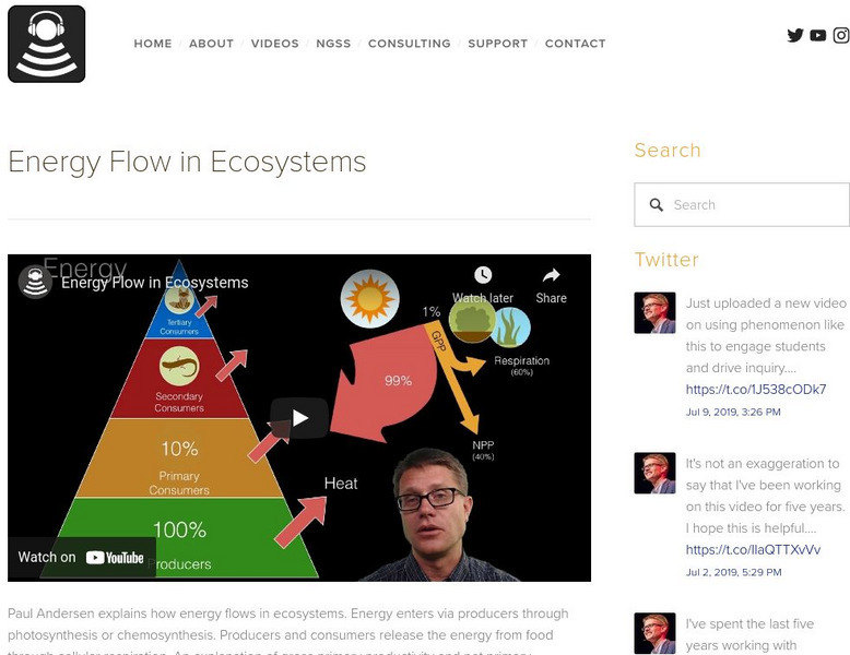 Bozeman Science: Energy Flow in Ecosystems Instructional Video