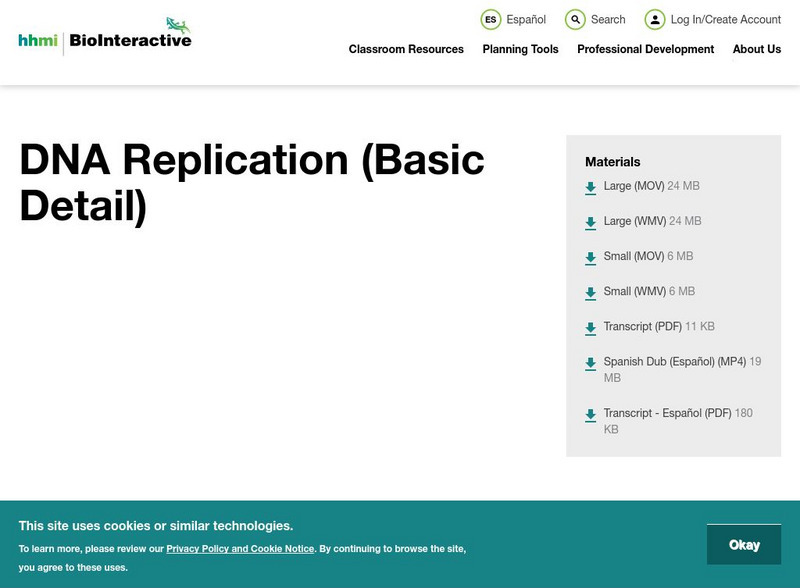 Hhmi: Biointeractive: Dna Replication (Basic Detail) Instructional Video Hhmi: Biointeractive: Dna Replication (Basic Detail) Instructional Video
