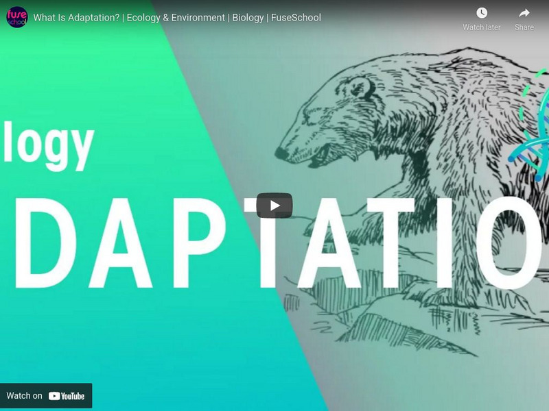 Fuse School: What Is Adaptation? Instructional Video Fuse School: What Is Adaptation? Instructional Video