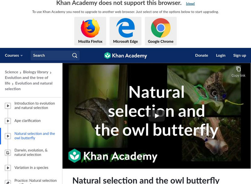 Khan Academy: Natural Selection and the Owl Butterfly Instructional Video Khan Academy: Natural Selection and the Owl Butterfly Instructional Video