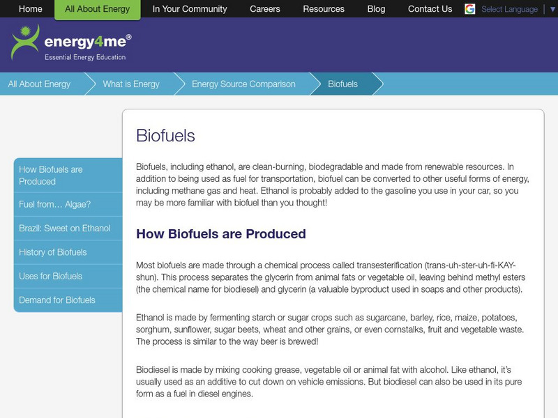 Energy4me: Biofuels Handout Energy4me: Biofuels Handout