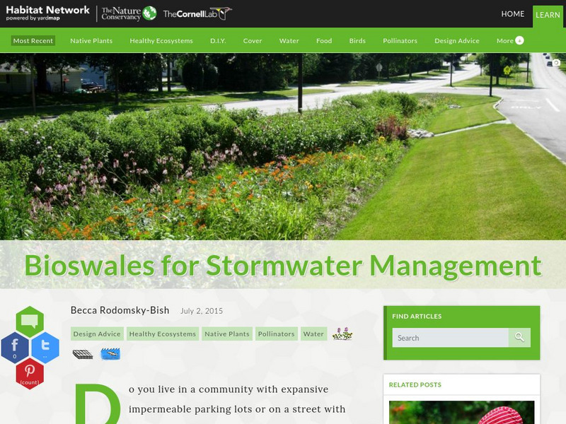 Habitat Network: Bioswales for Stormwater Management Article Habitat Network: Bioswales for Stormwater Management Article