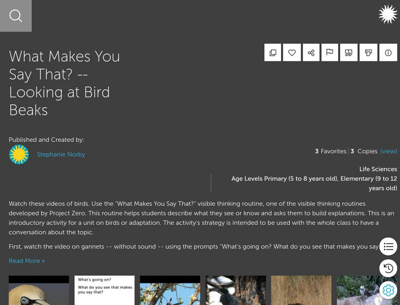 Smithsonian Learning Lab: Looking at Bird Beaks Lesson Plan