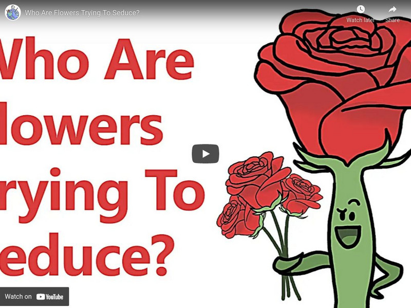 Minute Earth: Who Are Flowers Trying to Seduce? Instructional Video