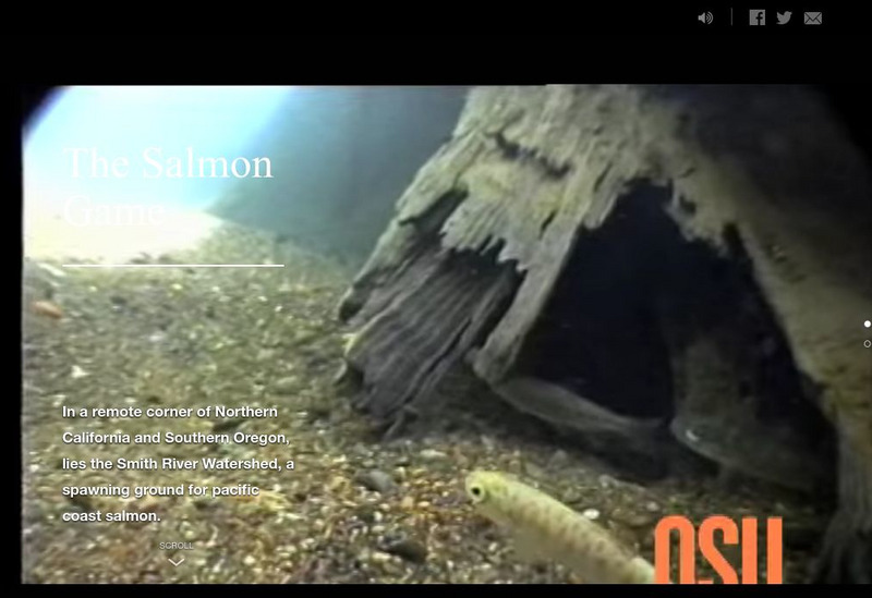 The Salmon Game Interactive The Salmon Game Interactive