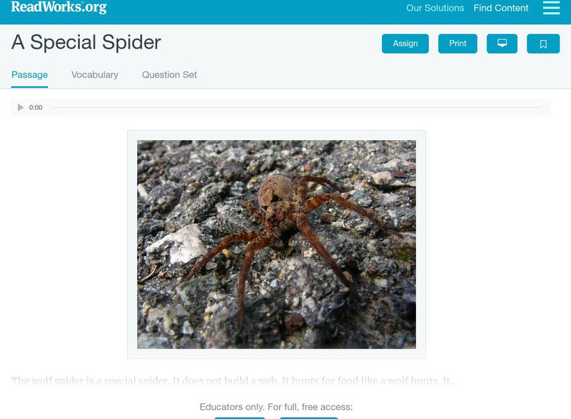 Read Works: A Special Spider Activity Read Works: A Special Spider Activity