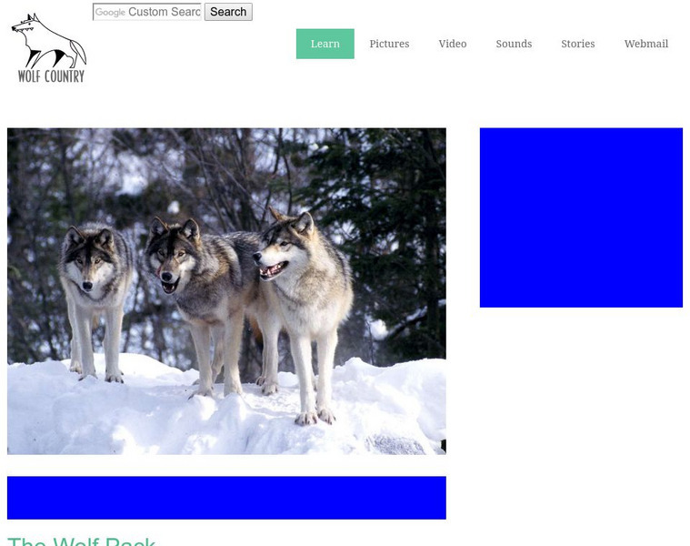 Wolf Country: The Wolf Pack Article Wolf Country: The Wolf Pack Article
