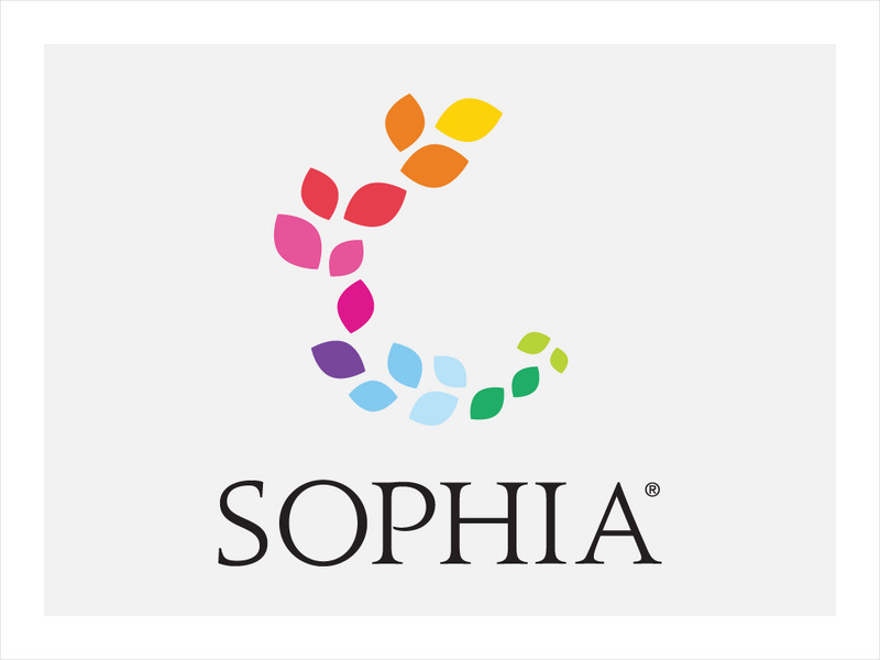 Sophia: Supporting Details Explained PPT Sophia: Supporting Details Explained PPT