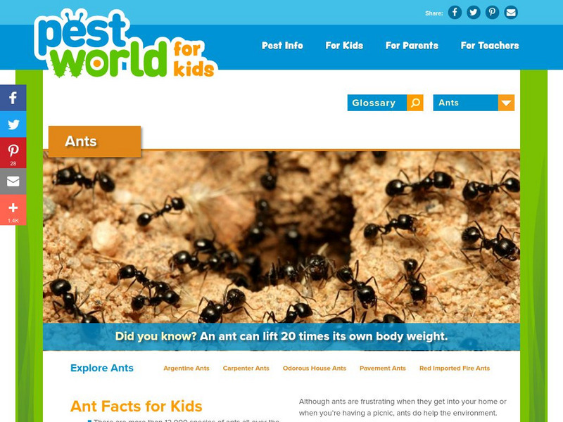 Pest World for Kids: Ants Handout