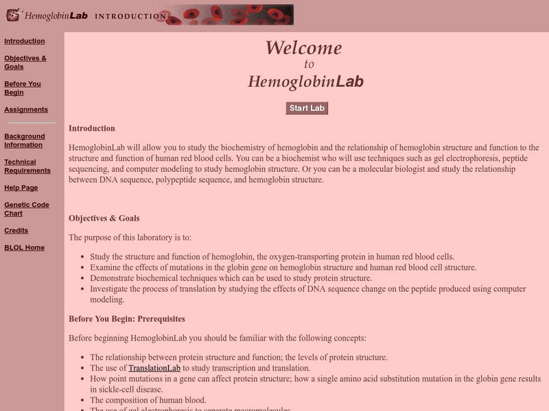 California State University: Biology Labs Online: Hemoglobin Lab Unit Plan California State University: Biology Labs Online: Hemoglobin Lab Unit Plan