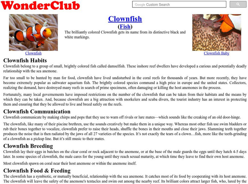 Wonderclub: Clownfish Activity