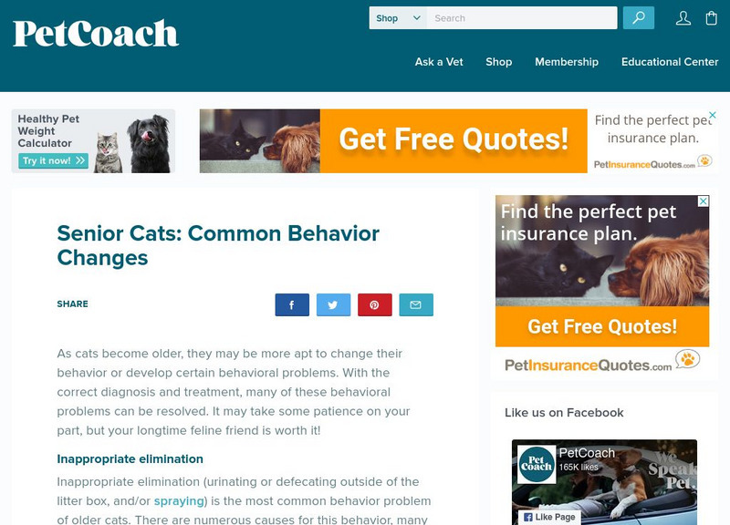 Pet Coach: Common Behavior Changes and Problems in Older Cats Website Pet Coach: Common Behavior Changes and Problems in Older Cats Website