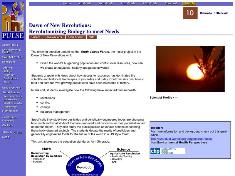 Pulse: Dawn of New Revolutions Website Pulse: Dawn of New Revolutions Website
