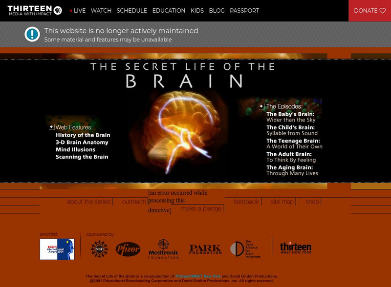 Wnet: Thirteen: The Secret Life of the Brain Interactive Wnet: Thirteen: The Secret Life of the Brain Interactive
