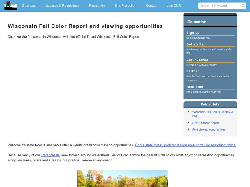 Wisconsin Dept. Of Natural Res.: Leaves Changing Color Handout