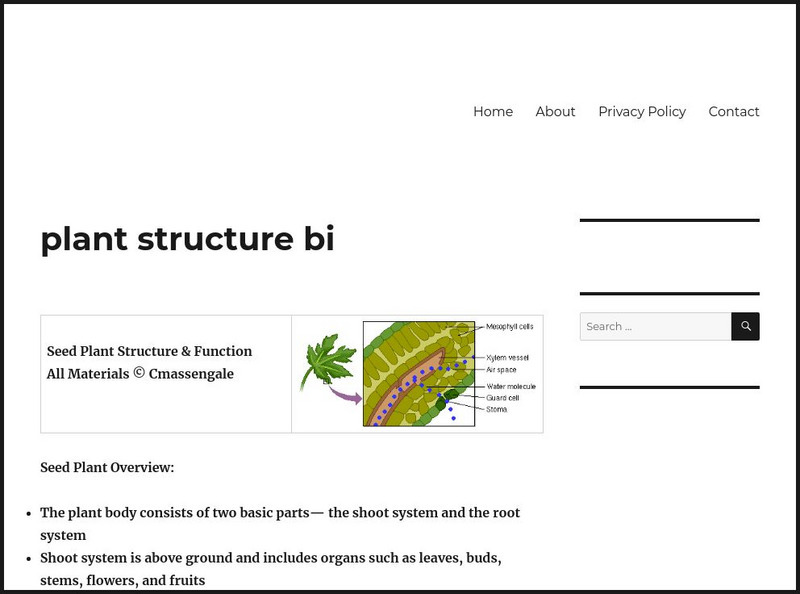 Stuttgard High School: Plant Structure & Function Handout Stuttgard High School: Plant Structure & Function Handout
