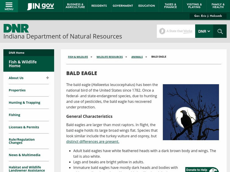Dnr: Bald Eagle Handout Dnr: Bald Eagle Handout