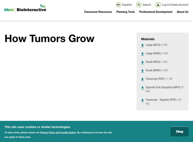 Hhmi: Bio Interactive: How Tumors Grow Instructional Video