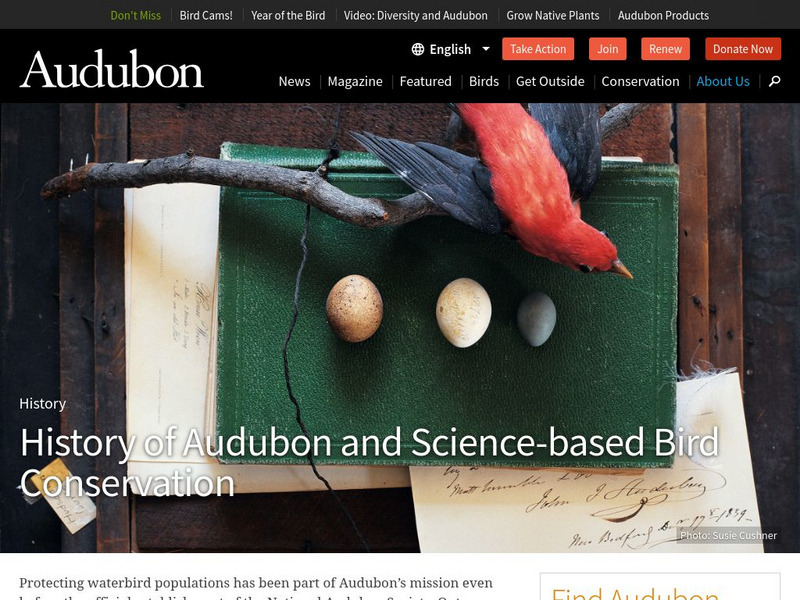 Chronology of the National Audubon Society Website Chronology of the National Audubon Society Website