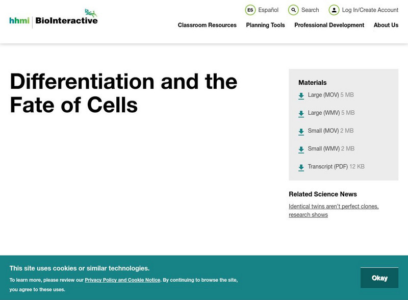 Hhmi: Biointeractive: Stem Cells: Differentiation and the Fate of Cells Instructional Video