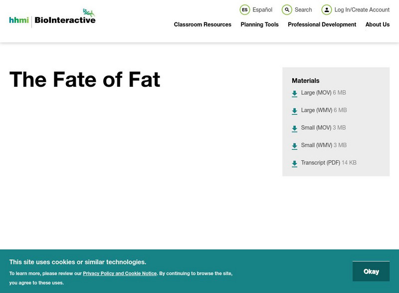 Hhmi: Biointeractive: Obesity: The Fate of Fat Website Hhmi: Biointeractive: Obesity: The Fate of Fat Website