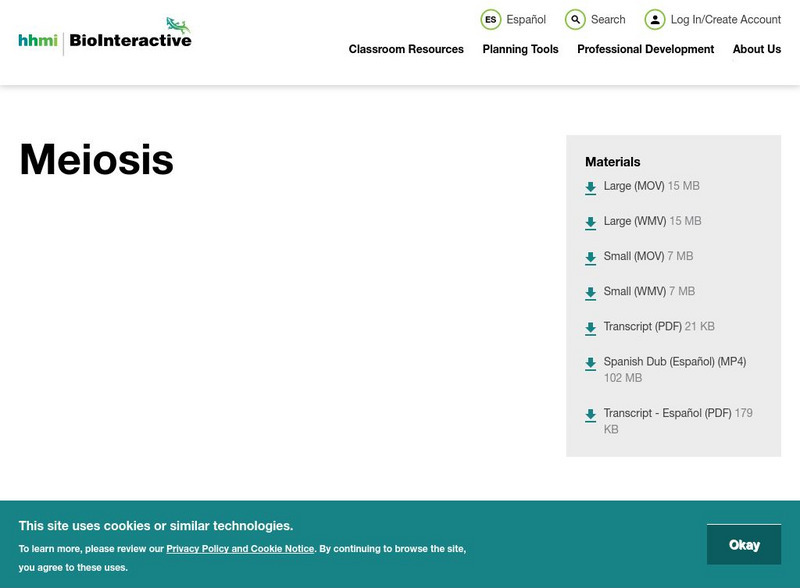 Hhmi: Biointeractive: Sex Determination: Meiosis Instructional Video