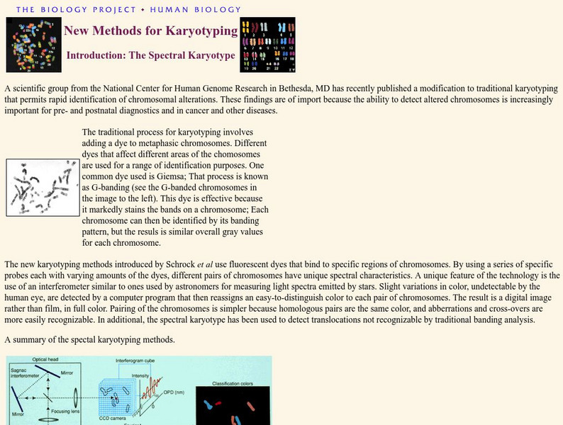 The Biology Project: Human Biology: New Methods for Karyotyping Handout The Biology Project: Human Biology: New Methods for Karyotyping Handout