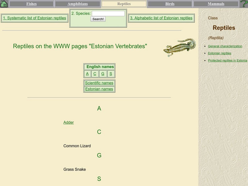 Sun Site: General Characteristics of Reptiles Handout Sun Site: General Characteristics of Reptiles Handout