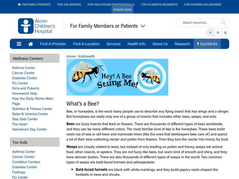 Akron Children's Hospital: Kidshealth: Hey! A Bee Stung Me! Article Akron Children's Hospital: Kidshealth: Hey! A Bee Stung Me! Article