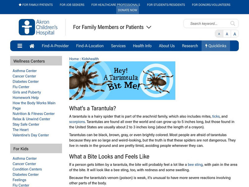 Akron Children's Hospital: Kidshealth: Hey! A Tarantula Bit Me! Article Akron Children's Hospital: Kidshealth: Hey! A Tarantula Bit Me! Article