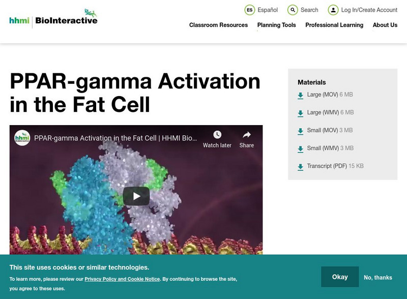 Hhmi: Bio Interactive: Ppar Gamma Activation in the Fat Cell Instructional Video Hhmi: Bio Interactive: Ppar Gamma Activation in the Fat Cell Instructional Video