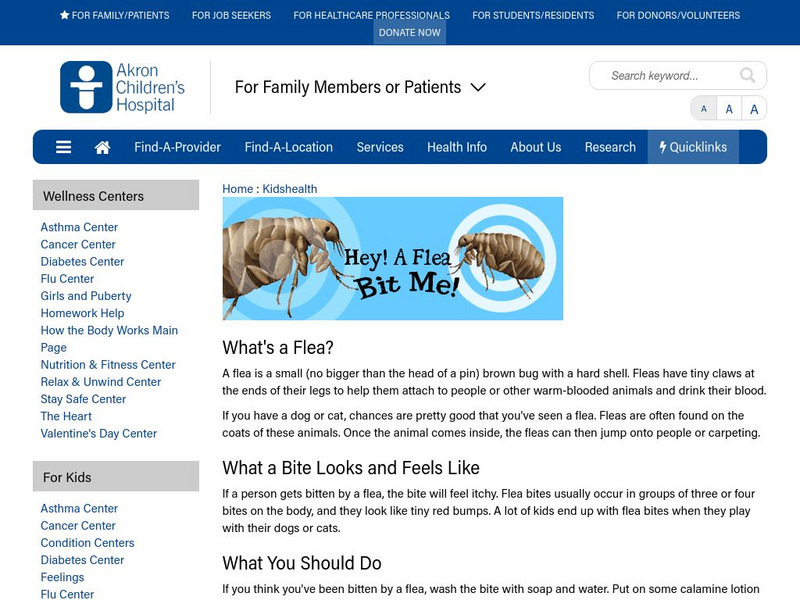 Akron Children's Hospital: Kidshealth: Hey! A Flea Bit Me! Article