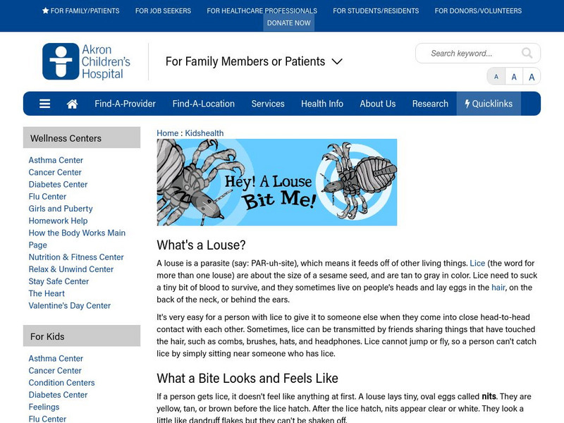 Akron Children's Hospital: Kidshealth: Hey! A Louse Bit Me! Article