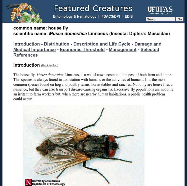 University of Florida: Featured Creatures: The House Fly Handout