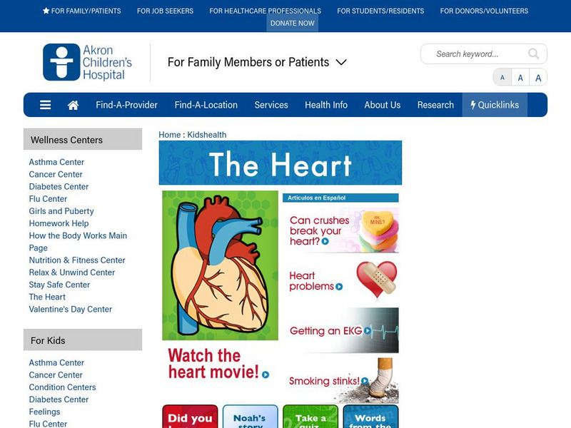 Akron Children's Hospital: Kidshealth: The Heart Handout Akron Children's Hospital: Kidshealth: The Heart Handout