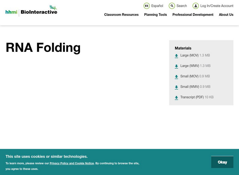 Hhmi: Bio Interactive: Rna Folding Instructional Video Hhmi: Bio Interactive: Rna Folding Instructional Video