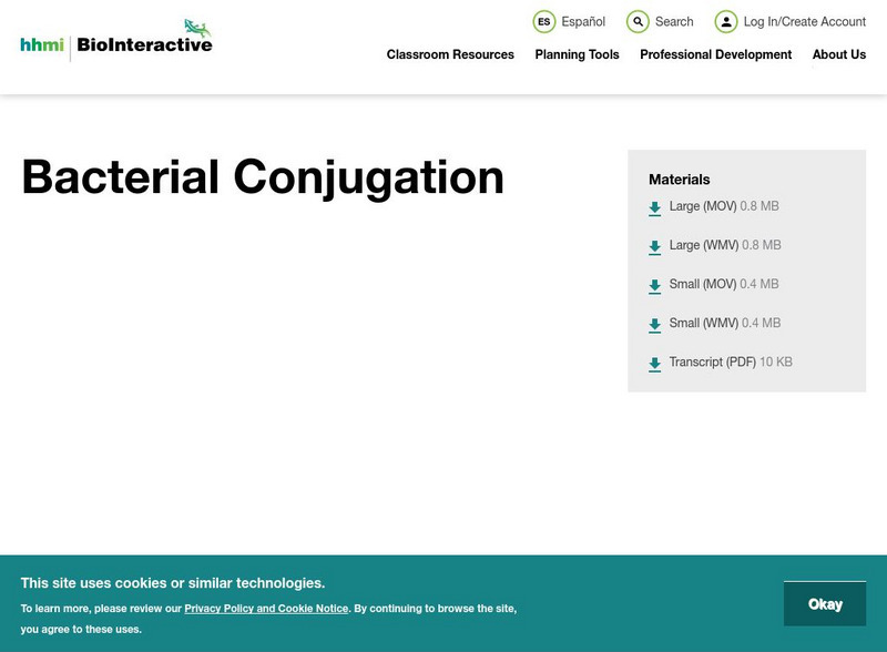 Hhmi: Biointeractive: Infectious Disease: Bacterial Conjugation Website Hhmi: Biointeractive: Infectious Disease: Bacterial Conjugation Website