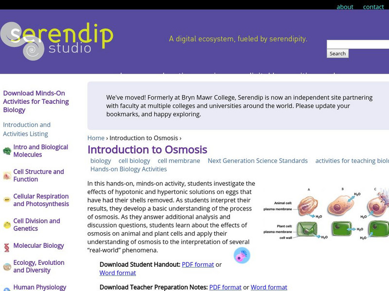 Serendip: Investigating Osmosis Activity Serendip: Investigating Osmosis Activity