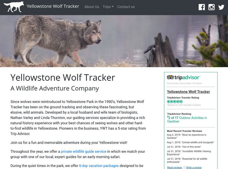 Yellowstone Wolf Tracker Activity for 9th 10th Grade Lesson