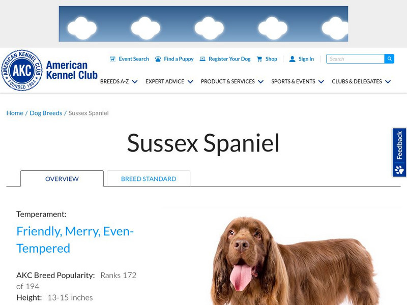 American Kennel Club: Sussex Spaniel Handout American Kennel Club: Sussex Spaniel Handout