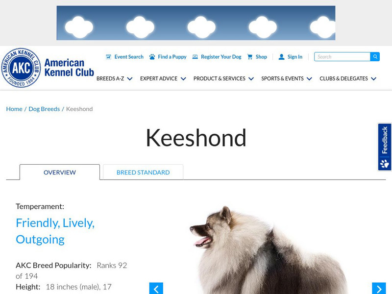 American Kennel Club: Keeshond Handout