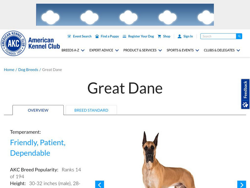 American Kennel Club: Great Dane Handout